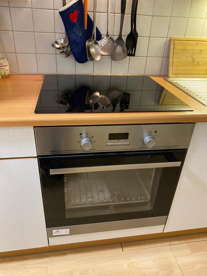 Dachsteinblick Apartment Ramsau am Dachstein Zewnętrze zdjęcie